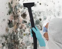 Mold Remediation for Rental Properties in Shiloh, PA